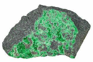 Green Uvarovite (Garnet Group) Cluster - Russia #274393
