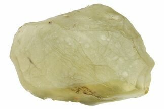 Libyan Desert Glass ( g) - Meteorite Impactite #274479