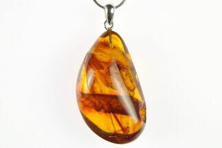 Polished Baltic Amber Pendant (Necklace) -Contains Flies & Aphid! #275707