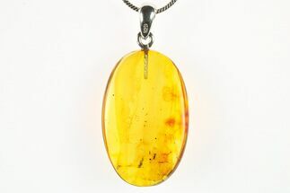 Polished Baltic Amber Pendant (Necklace) - Contains Insect! #275727
