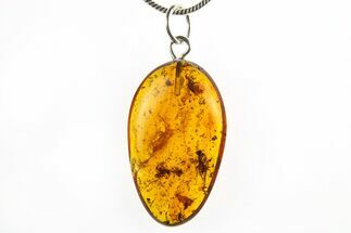 Polished Baltic Amber Pendant (Necklace) - Flies, Spider & Flora! #275807