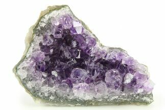 Sparkling Purple Amethyst Crystal Cluster - Uruguay #276271