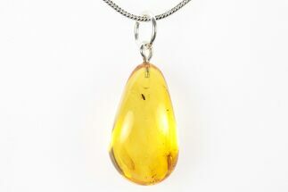 Polished Baltic Amber Pendant (Necklace) - Contains Fly! #275877