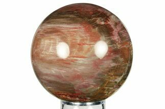 Colorful, Petrified Wood Sphere - Madagascar #98466