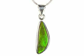 Stunning Ammolite Pendant (Necklace) - Sterling Silver #278396