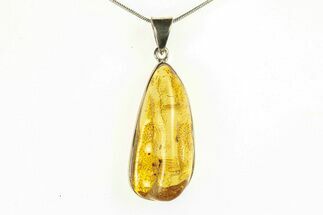 Polished Baltic Amber Pendant (Necklace) - Sterling Silver #279185