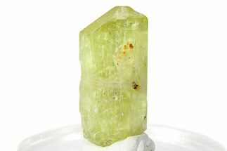 Gemmy Yellow-Green Apatite Crystal - Morocco #276545