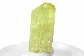 Gemmy Yellow-Green Apatite Crystal - Morocco #276546