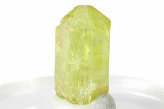 Gemmy Yellow-Green Apatite Crystal - Morocco #276556