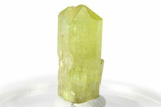 Gemmy Yellow-Green Apatite Crystal - Morocco #276557