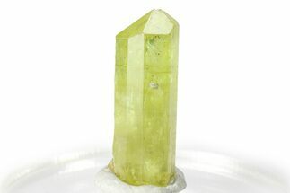 Gemmy Yellow-Green Apatite Crystal - Morocco #276559