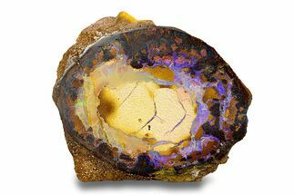 Stunning Boulder Opal Specimen - Queensland, Australia #280247