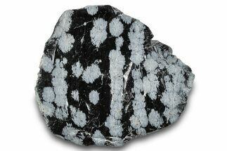 Snowflake Obsidian Section - Utah #279853
