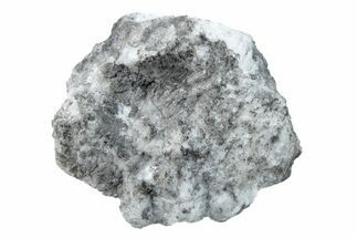 Tiglit Aubrite Meteorite ( g) - Witnessed Fall! #280929