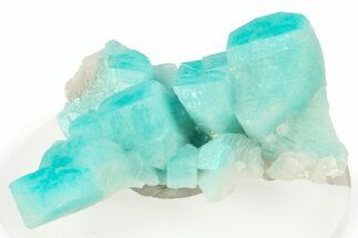 Amazonite Crystal Cluster - Colorado #282065