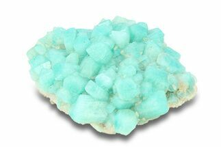 Amazonite Crystal Cluster - Colorado #281948