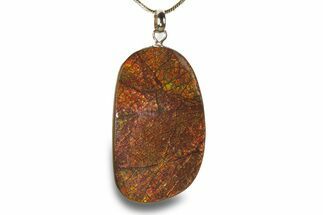 Brilliant Ammolite Pendant (Necklace) - Alberta, Canada #282475