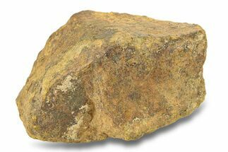 Gold Basin Chondrite Meteorite ( g) - Arizona #282755