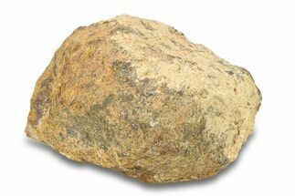 Gold Basin Chondrite Meteorite ( g) - Arizona #282777