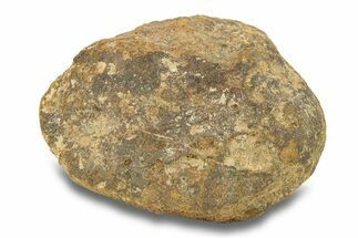 Gold Basin Chondrite Meteorite ( g) - Arizona #282839