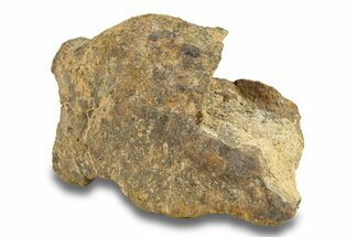 Gold Basin Chondrite Meteorite ( g) - Arizona #282841