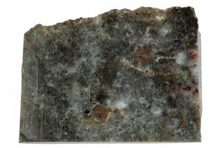 Lunar Meteorite Slice ( g) - NWA #283593