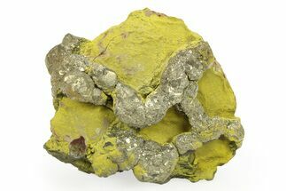 Golden Pyrite on Limonite Clay - Pakistan #283718