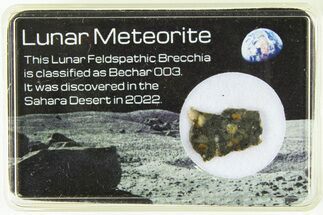 Polished Lunar Meteorite Slice ( g) - Bechar #285291