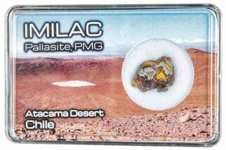 Pallasite Meteorite ( g) Slice - Imilac #285888