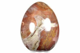 Colorful, Polished Petrified Wood Egg - Madagascar #286062