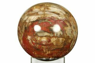Colorful Petrified Wood (Araucaria) Sphere - Madagascar #286154