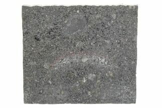 Polished Mesosiderite Meteorite Slice ( g) - NWA #286237
