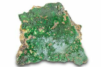Striking Green Conichalcite Formation with Garnets - Utah #284986