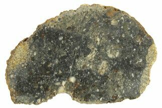 Polished Howardite Meteorite Section ( g) - Bechar #286944