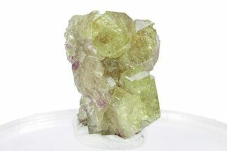 Gemmy Vesuvianite Crystals - Jeffrey Mine, Canada #287033