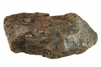 Canyon Diablo Iron Meteorite ( g) - Arizona #287697