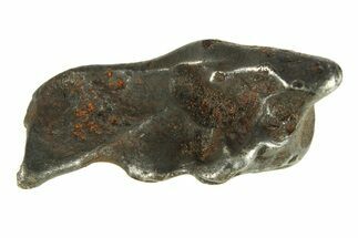 Fusion Crusted Sikhote-Alin Iron Meteorite ( g) - Russia #287871