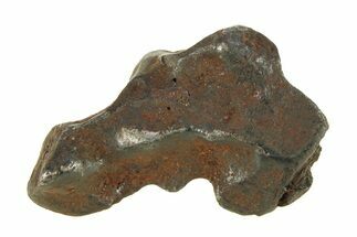 Fusion Crusted Sikhote-Alin Iron Meteorite ( g) - Russia #287880