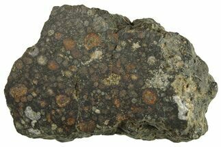 Chondrite Meteorite Section ( g) - NWA #287888