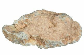 Lunar Meteorite ( g) - Bechar #288523