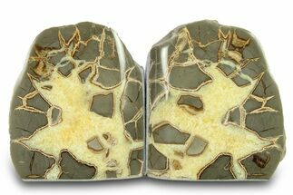 Beautiful Septarian Geode Bookends - Utah #288948