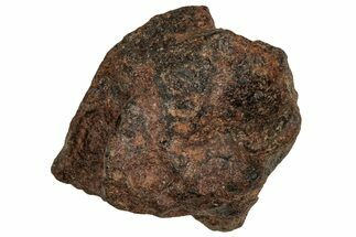 Agoudal Iron Meteorite ( g) - Morocco #288914