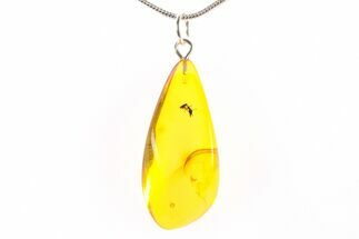 Polished Baltic Amber Pendant (Necklace) - Contains Ant! #288778