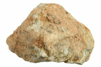 Lunar Meteorite ( g) - Bechar #288472