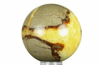 Polished Septarian Sphere - Madagascar #289932