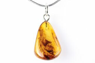 Polished Baltic Amber Pendant (Necklace) - Contains Fly! #288836