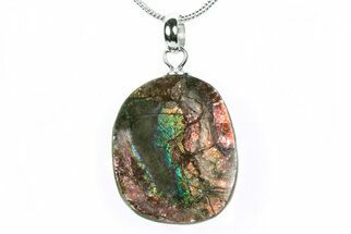 Brilliant Ammolite Pendant (Necklace) - Alberta, Canada #290138