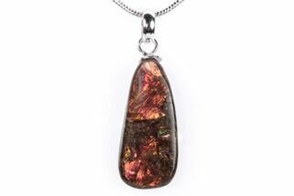 Brilliant Ammolite Pendant (Necklace) - Alberta, Canada #290140