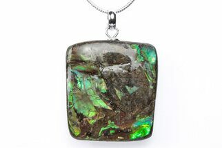 Brilliant Ammolite Pendant (Necklace) - Alberta, Canada #290141