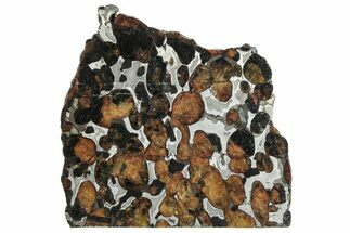 Polished Sericho Pallasite Meteorite ( g) Slice - Kenya #291267